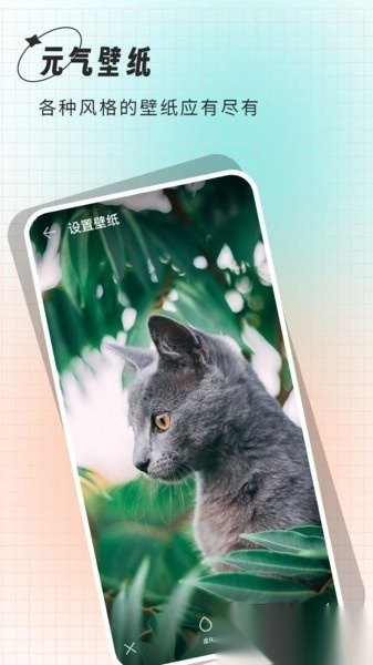 清壁纸安卓直装版图3