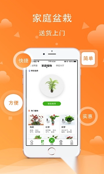 苗木之家识别软件图3