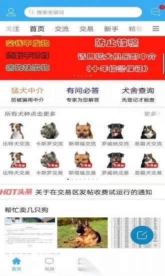 猛犬俱乐部