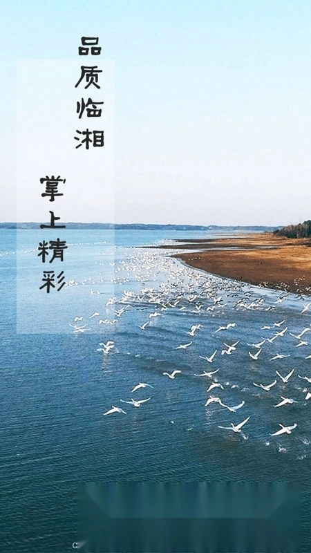 品质临湘客户端2026图5