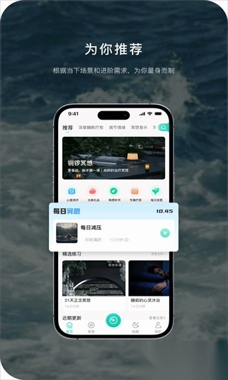 流静手机正版图2