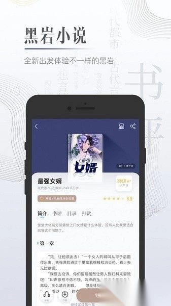 黑岩小说最新版截图1