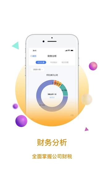 大账房财务软件图2
