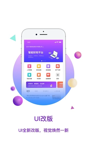 大账房财务软件图3