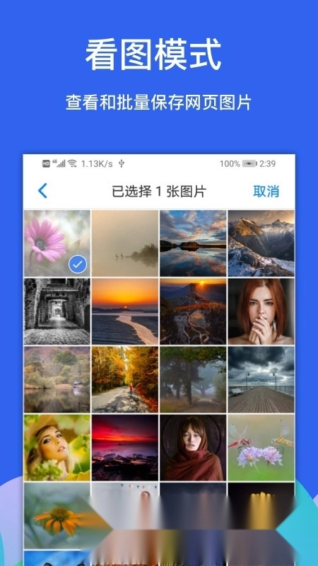 alook浏览器最新版
