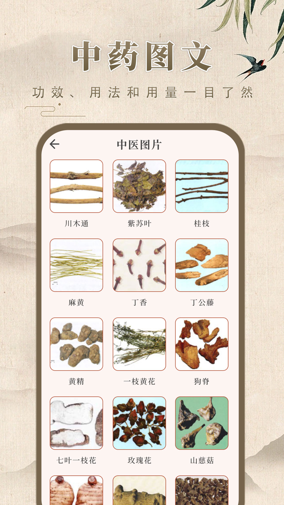 中药学4