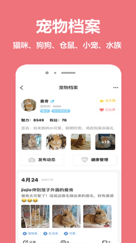 宠物王国手机正版图2