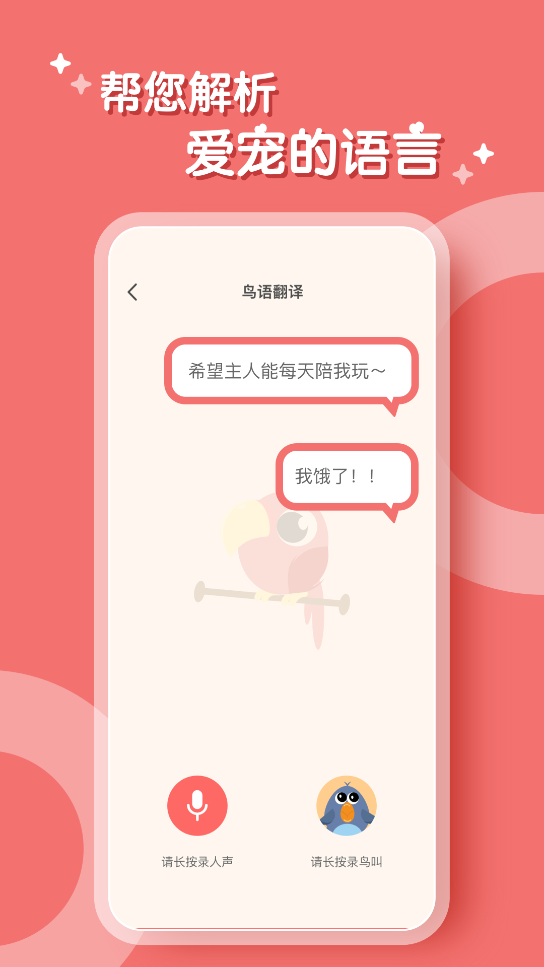 鹦鹉翻译器官网版下载