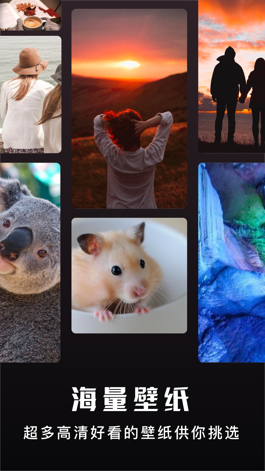 主题盒安卓版下载