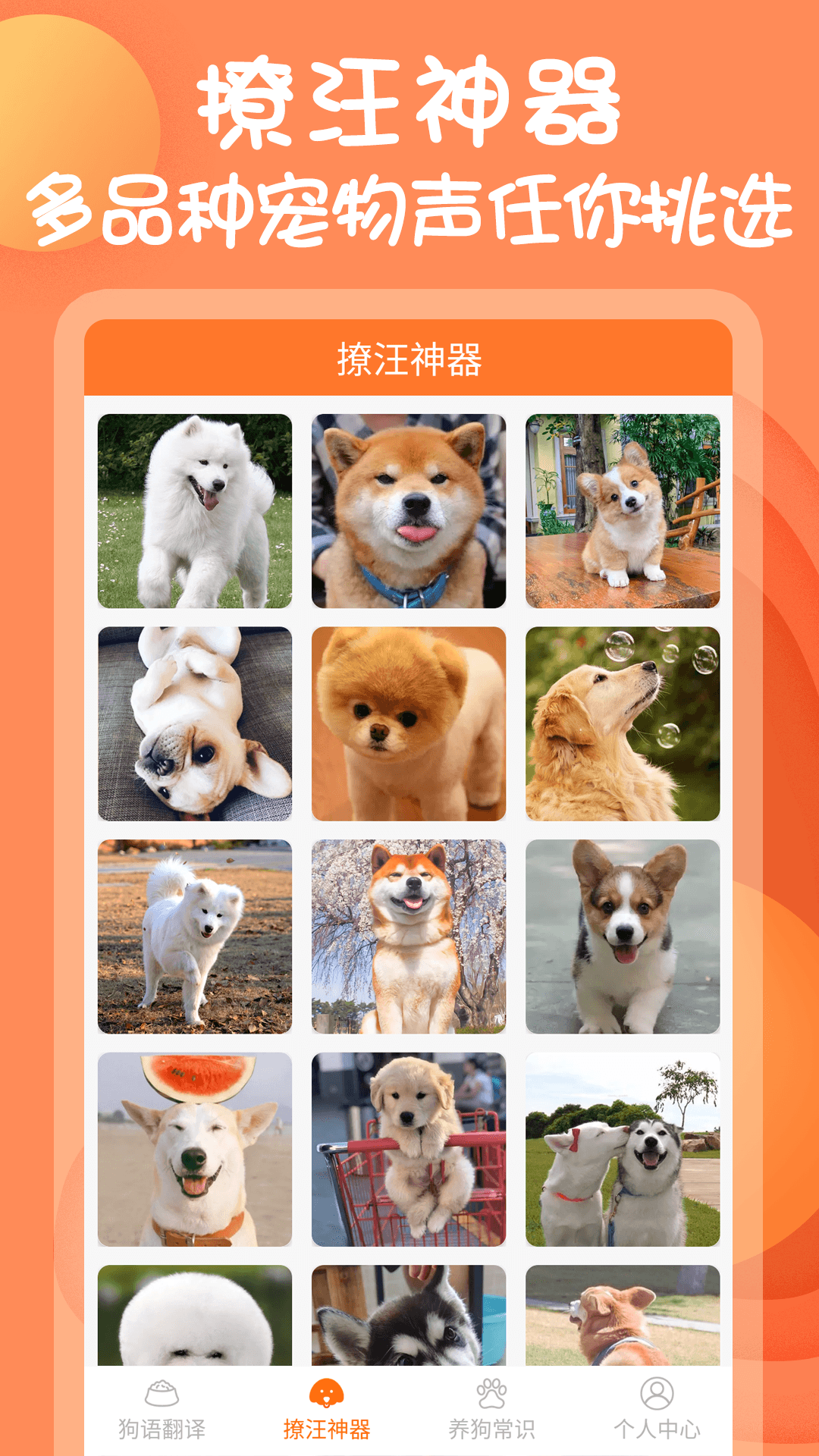 狗语翻译器免费版下载