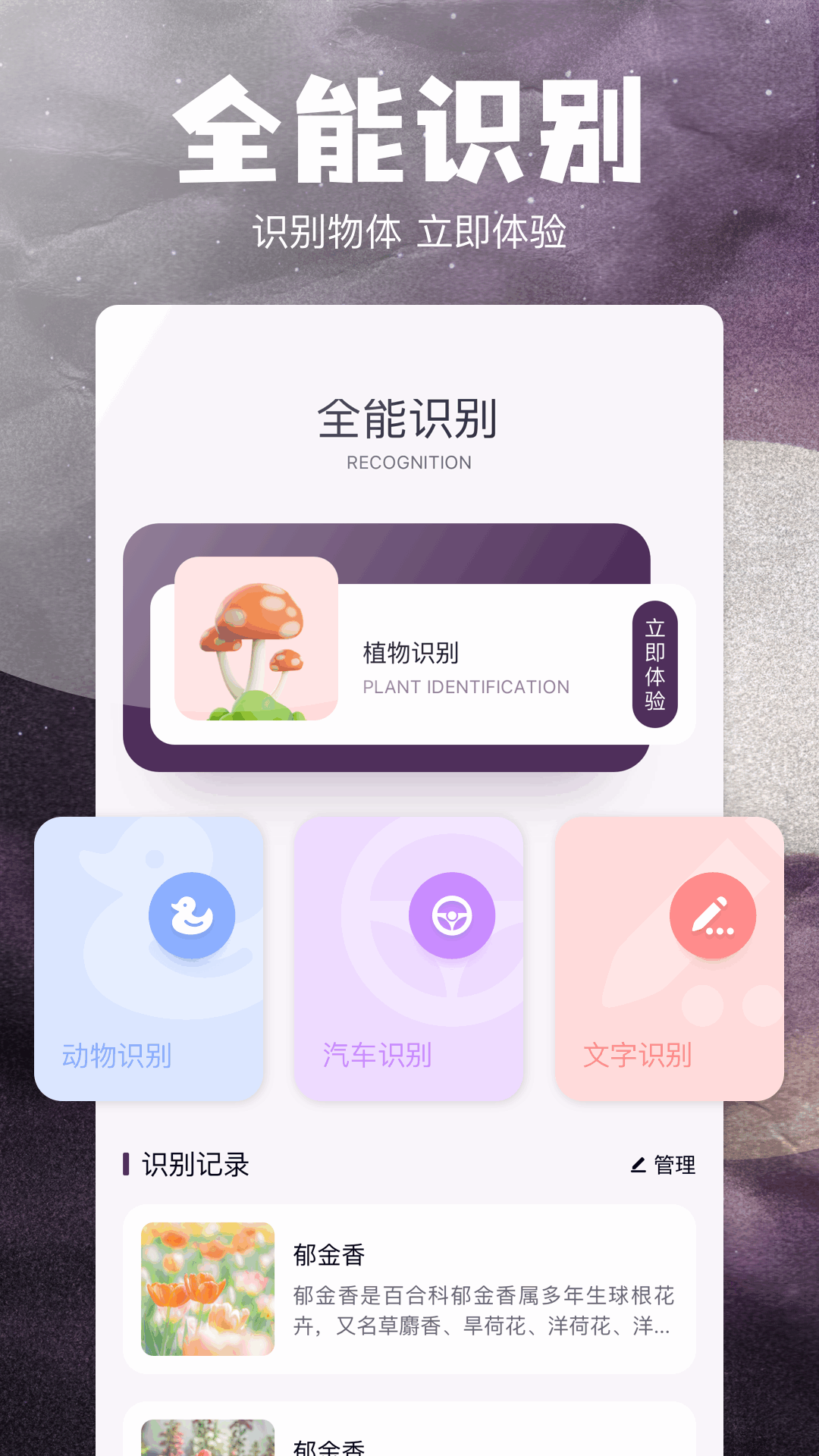 stream截图0