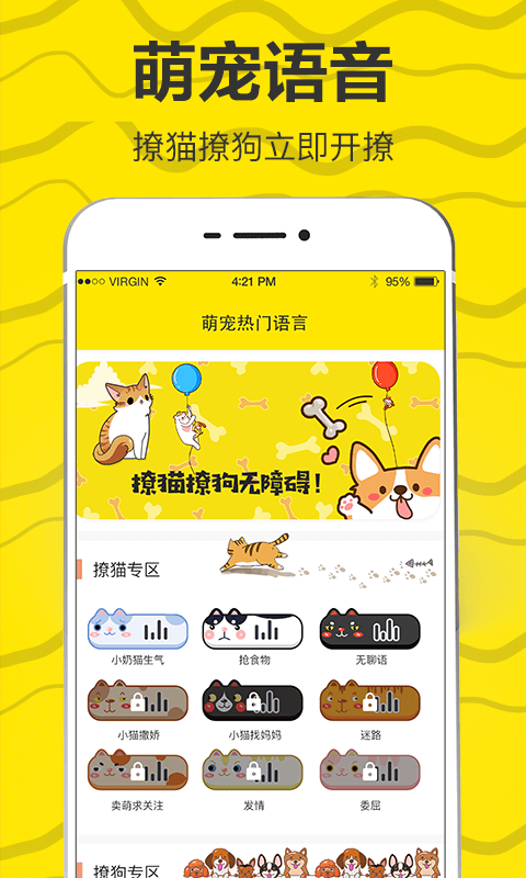猫狗翻译2