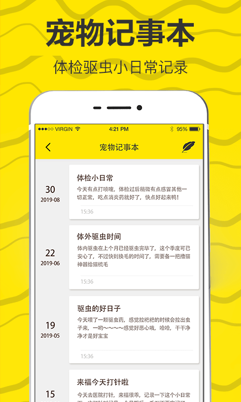 猫狗翻译3