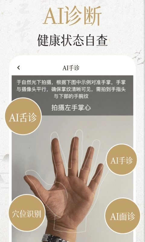 中济经络穴位