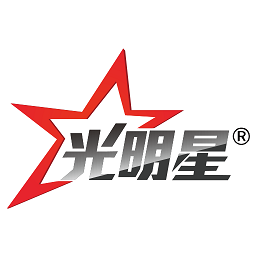 光明星P9行车记录仪官方版