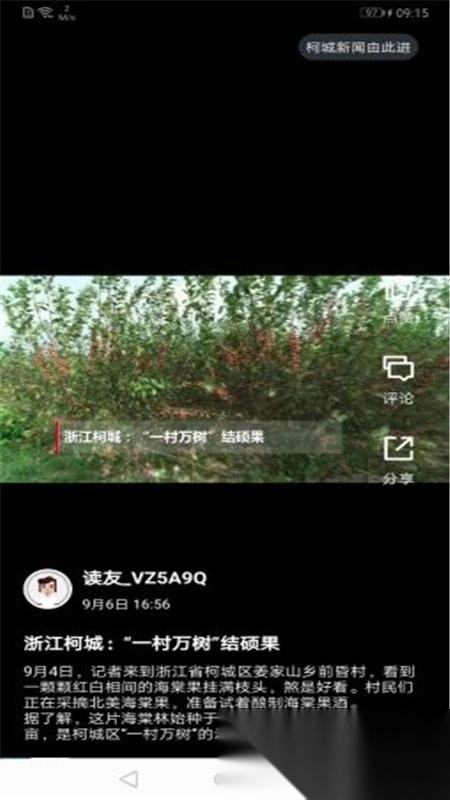运动柯城