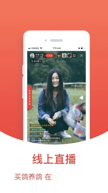 赛鸽头条免费版图3