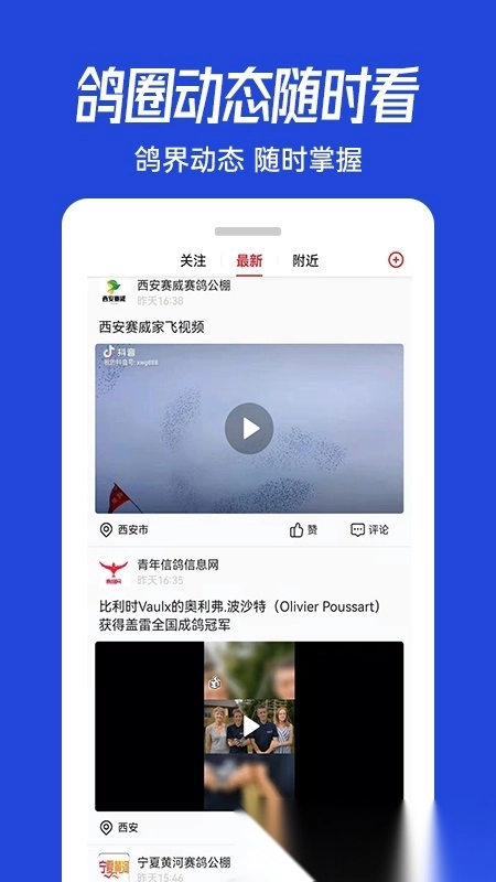 青鸽网手机版(3)