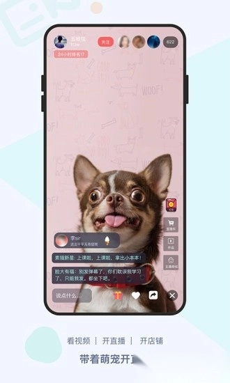 龙平台影视图1