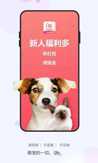 龙平台影视图4