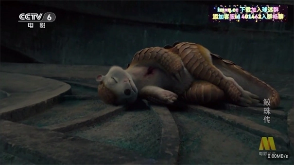 彩虹飞鸟稳定版图2