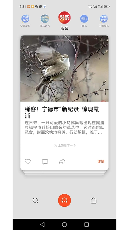 新宁德图4