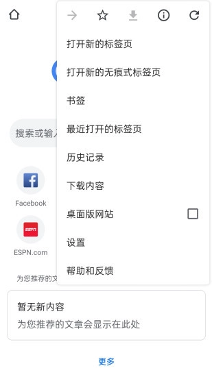 谷歌chrome浏览器图4