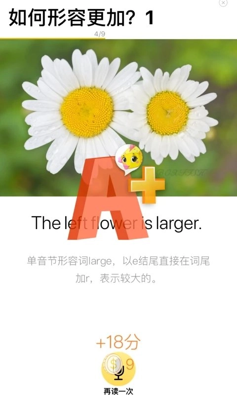 boxfish盒子鱼英语图2