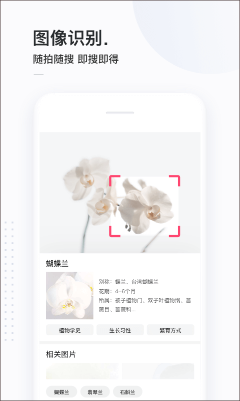 百度简单搜索官方最新版图3