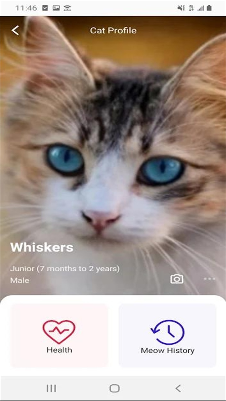 喵说meowtalk中文手机免费版-图4
