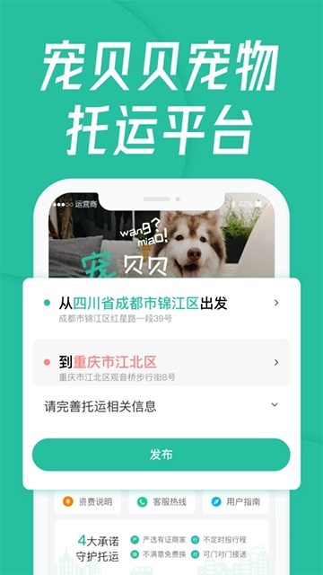 宠贝贝宠物托运平台图1