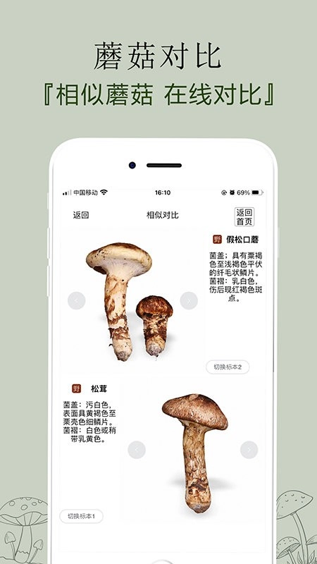 菌窝子软件图3