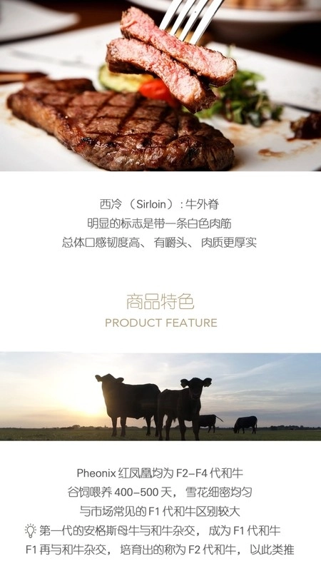 普冷库购(2)