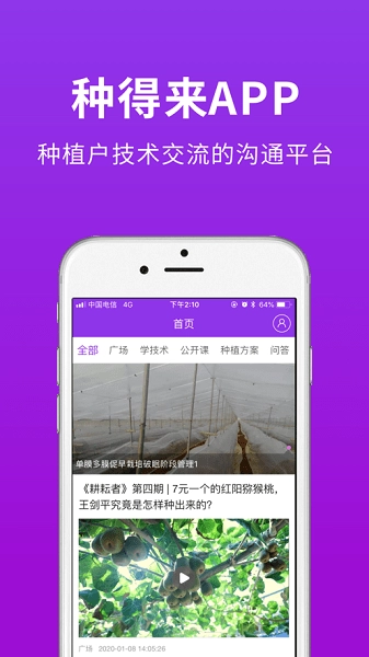 种得来图3