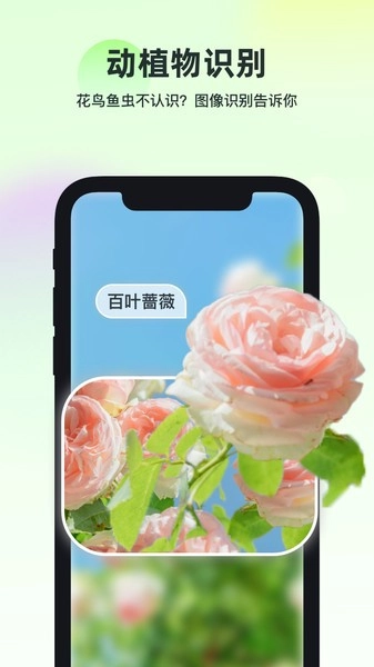智能识万物免费图3