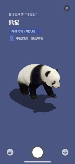 大眼探世界地球仪安卓版图2