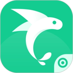 飞鱼专注通用版