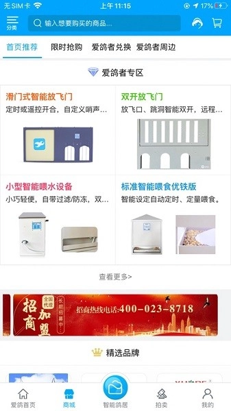 爱鸽者图1