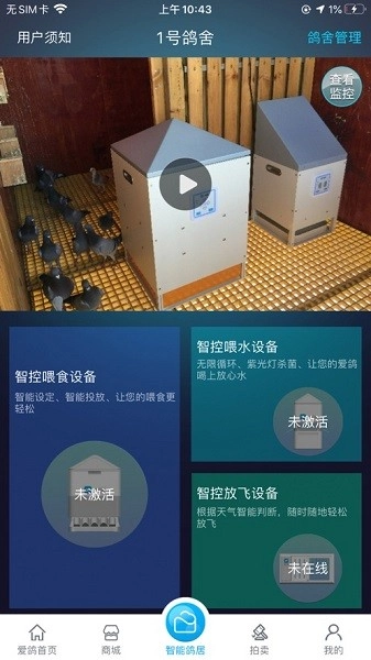 爱鸽者图3