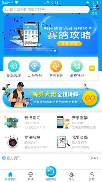 爱鸽者图4