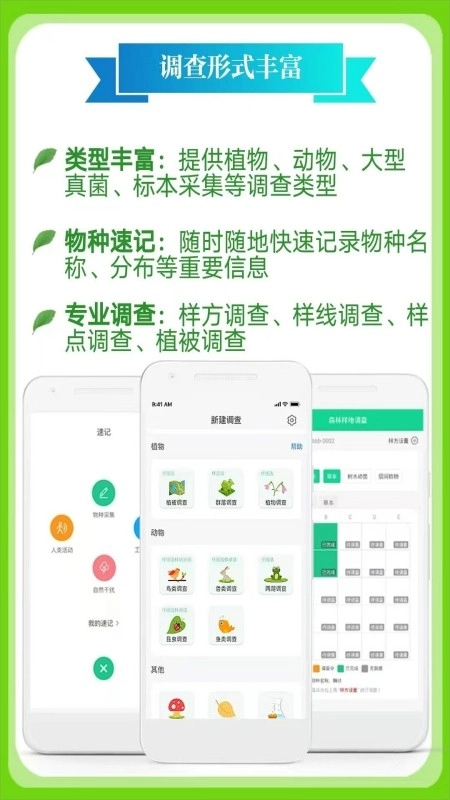北极花生物调查(3)