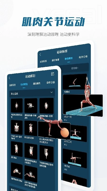 解剖大师手机版图3