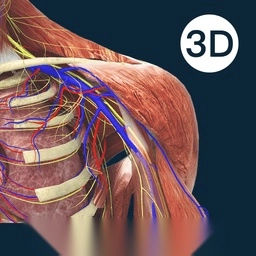 解剖大师手机版