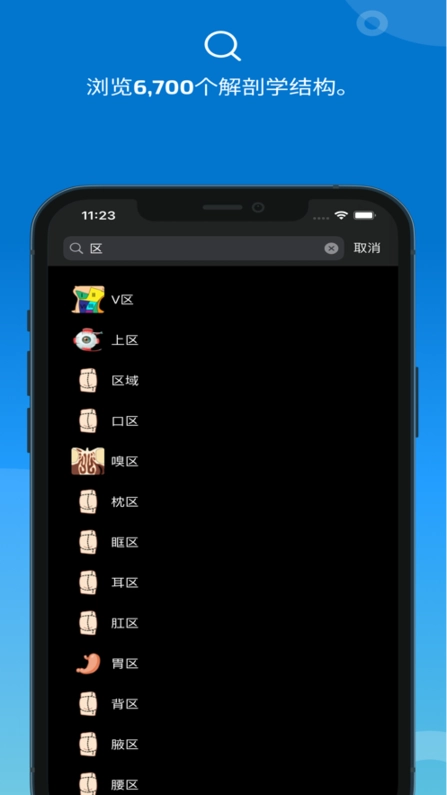 e-anatomy软件图5
