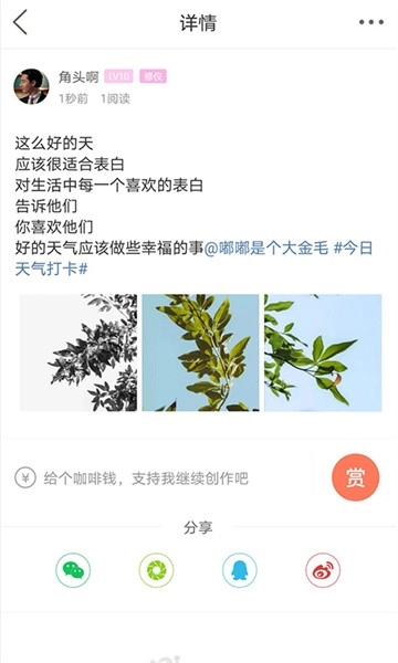 自贡在线客户端