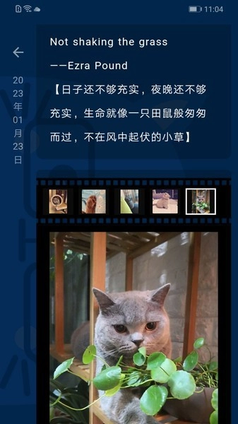 时间旅馆安卓版图3