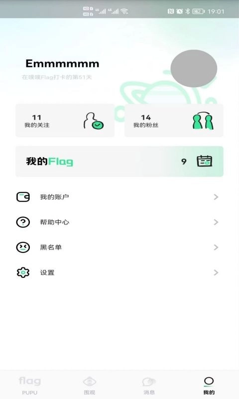 噗噗Flag图3