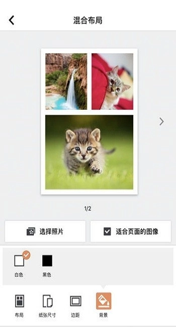 selphy photo layout 证件照手机正版图2