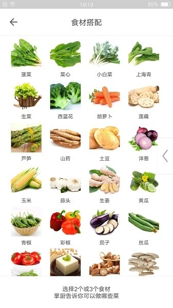 掌厨网图1