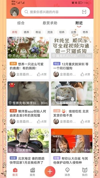 懒洋葱软件图3